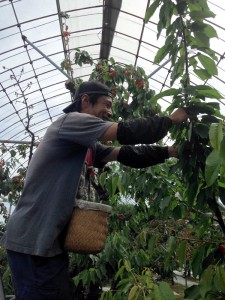 2015.6.1CHSshuukakuchuu