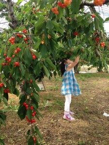 2015.6.1CHStewonobaseba