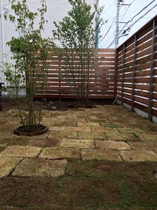 2015.08.03ATT-niwa05