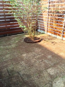 2015.08.03ATT-niwa07