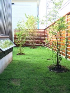 2015.08.03ATT-niwa10